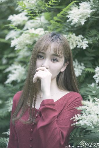 周生如故在线播放免费观看全集